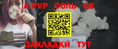 СК Новозыбков