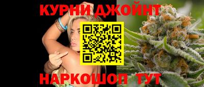сатива Нальчик