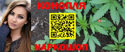 сатива Нальчик