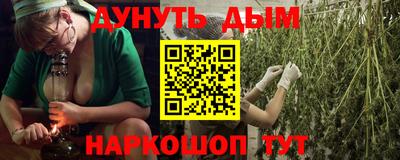 СК Новозыбков