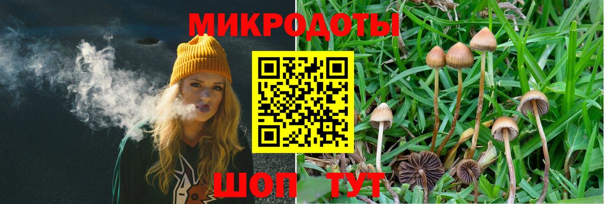 Псилоцибиновые грибы мицелий Сыктывкар
